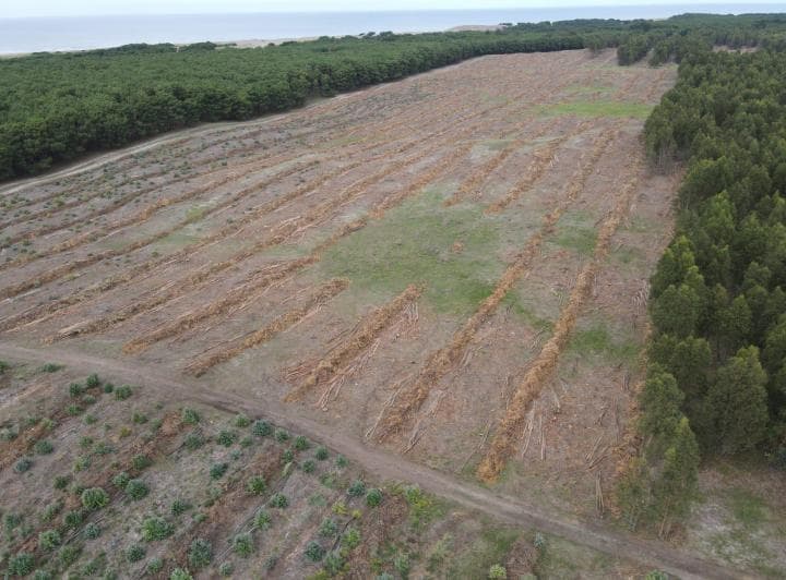 Campo en Venta en Playa Rocosa Necochea - 3