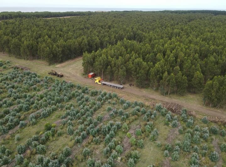 Campo en Venta en Playa Rocosa Necochea - 2