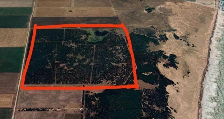 Campo en Venta en Playa Rocosa Necochea - 5