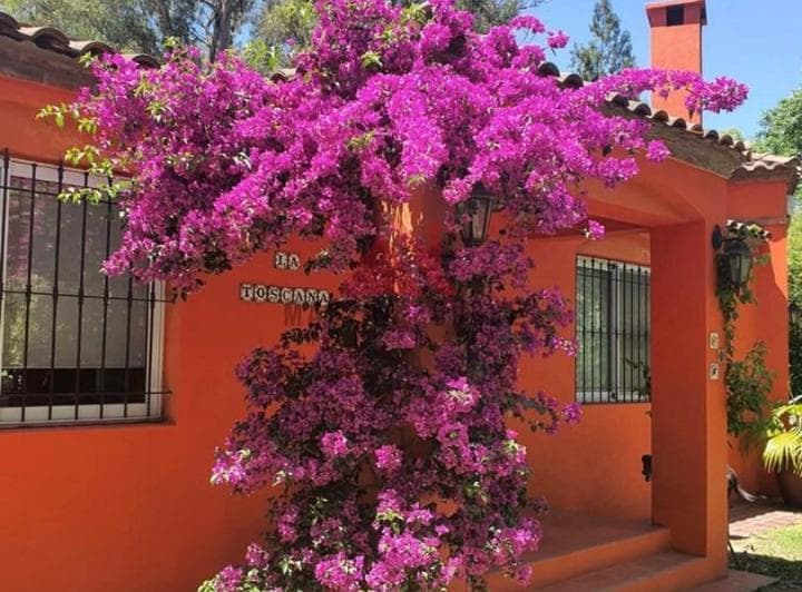 Casa Chalet en Alquiler en Barrio Parque Los Pinos, Exaltación de La Cruz, G. B. a. Zona Norte - 2