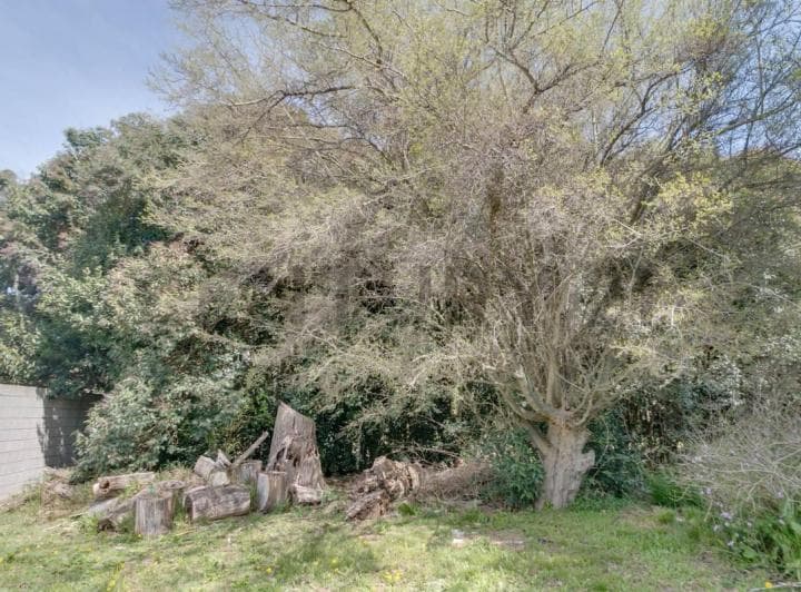 Lote en Venta Villa Elisa - 3