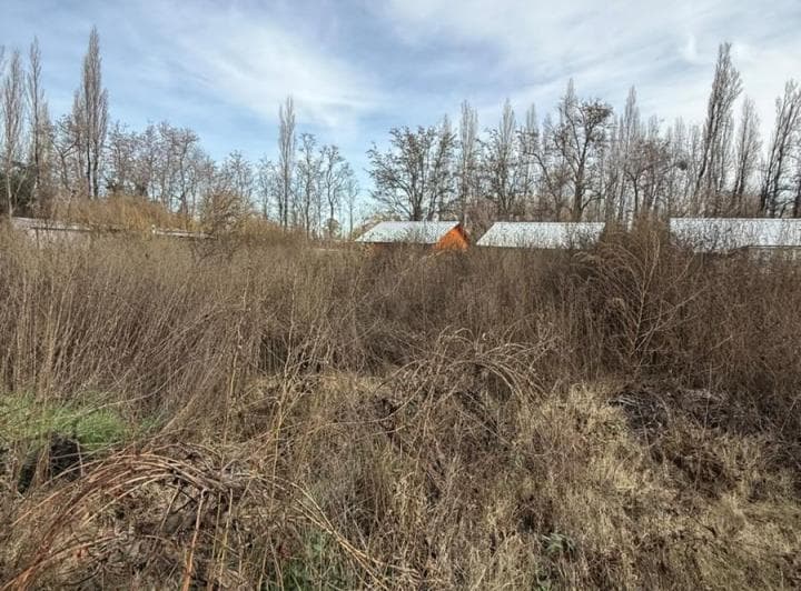 Terreno en Plottier - 3