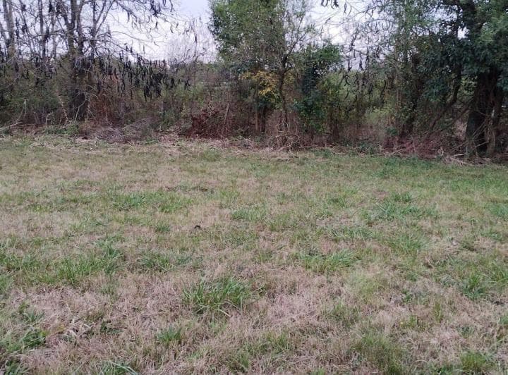 Terreno en Venta Lote 1295 m² en El Barrio La Loma, Capilla del Señor - 3