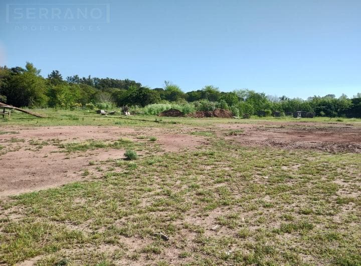 Importante Campo en Venta 146ha Junto a Colonia de Chacra - 2