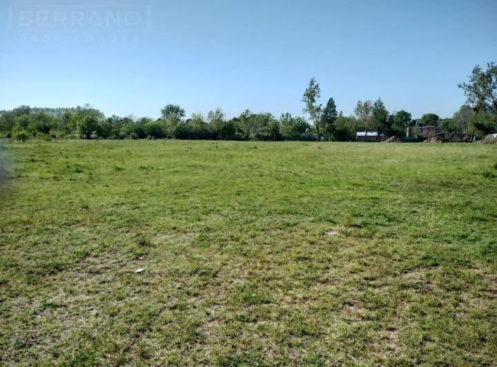 Importante Campo en Venta 146ha Junto a Colonia de Chacra - 3