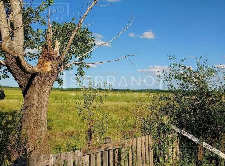 Importante Campo en Venta 146ha Junto a Colonia de Chacra - 5
