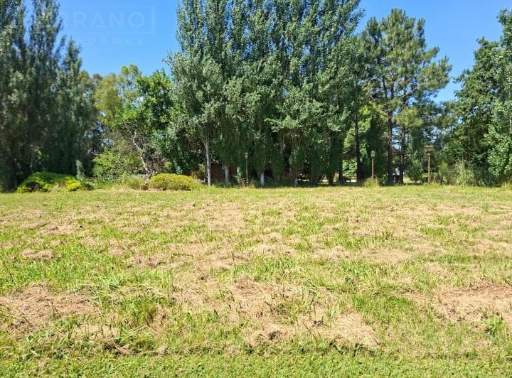 Venta Terreno 2000 m², Barrio Privado San Joaquin, Exaltacion de La Cruz - 5