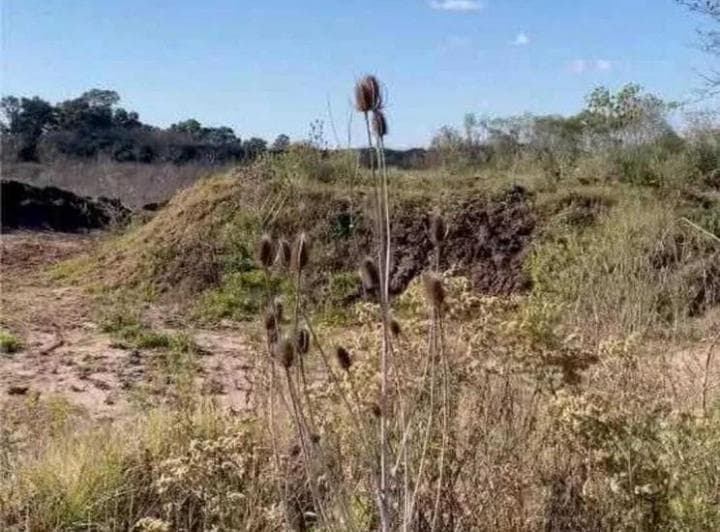 Terreno Campo en Venta en Loma Verde, Escobar - 2