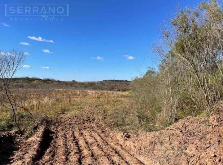 Terreno Campo en Venta en Loma Verde, Escobar - 3