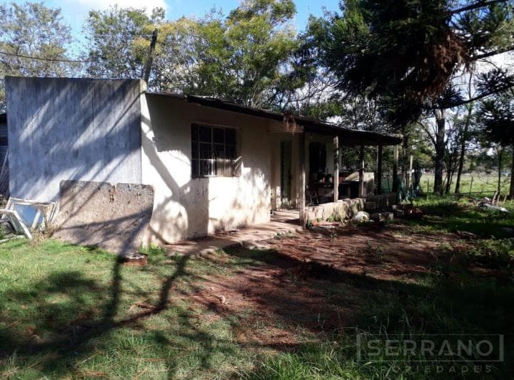 Venta Chacra 4500 m² en Mercedes, Buenos Aires - 5