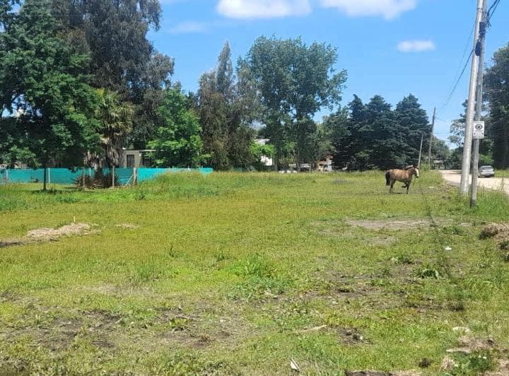 Venta Terrenos, Parque Sakura, Calles Guiraldes E Ingenieros Al 700. Exaltación de La Cruz - 3