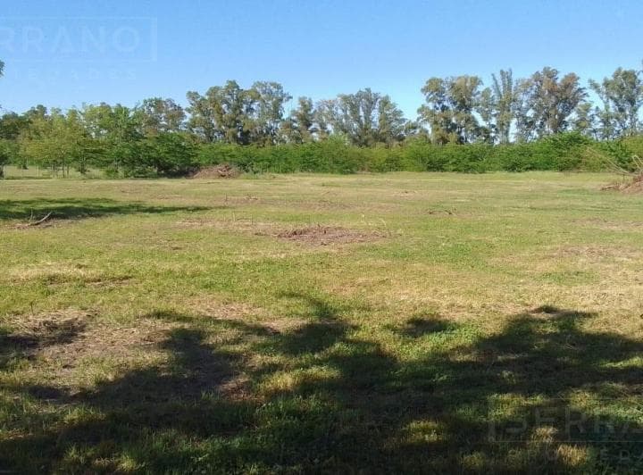 Venta Lote de 5200 m² en Etchegoyen, Ruta 6 Km 169, Exaltación de La Cruz - 4