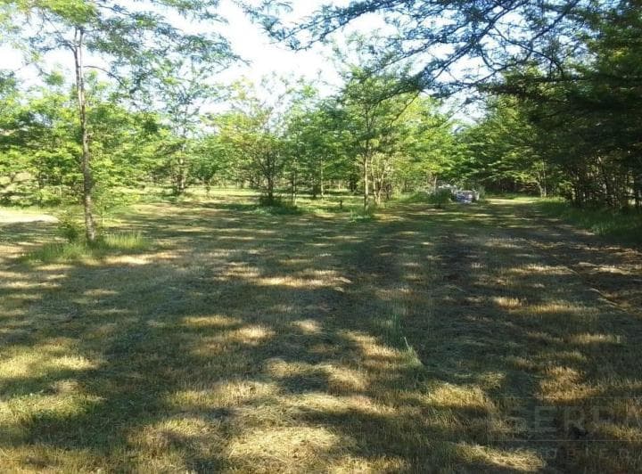 Venta Lote de 5200 m² en Etchegoyen, Ruta 6 Km 169, Exaltación de La Cruz - 3