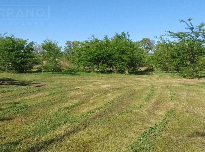 Venta Lote de 5200 m² en Etchegoyen, Ruta 6 Km 169, Exaltación de La Cruz - 5