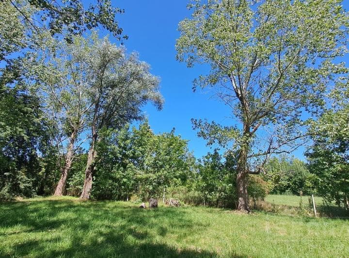 Ldo Venta. Terreno 1000 m² Arbolado. Barrio Parque Exaltación - 5