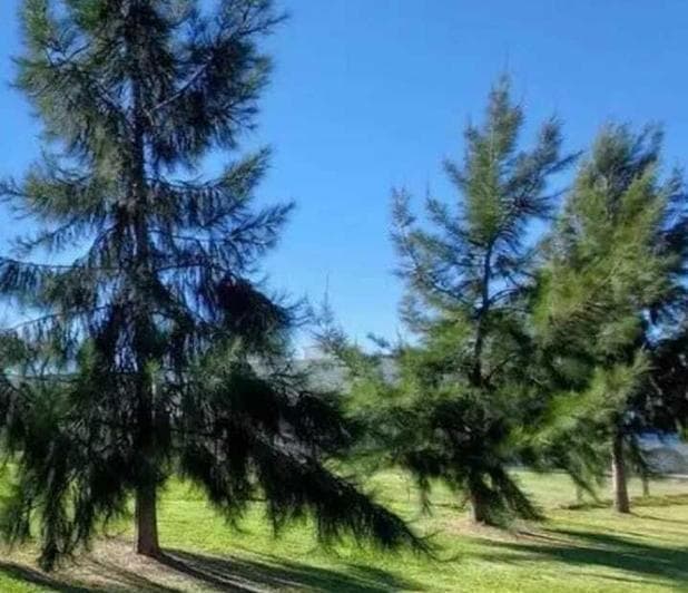 Terreno Lote en Venta en El Naudir, Escobar, G. B. a. Zona Norte - 3