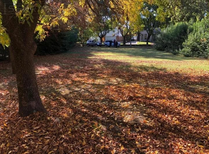 Venta Terreno Oportunidad en Barrio Alamo Alto - 2