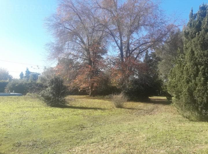 Venta Casa Quinta de 4 Amb con Amplio Terreno en Loma Verde - 3