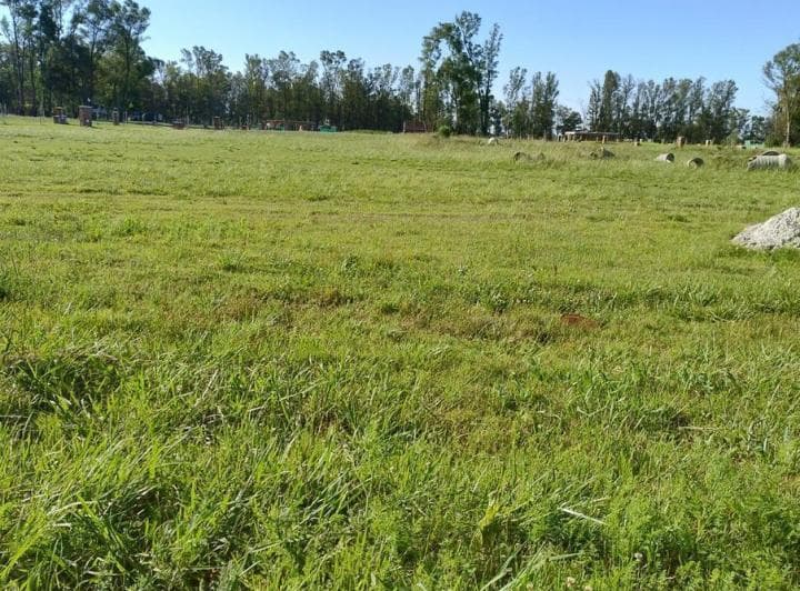 Venta Lote en Santa Sofia Pilar del Este. - 2