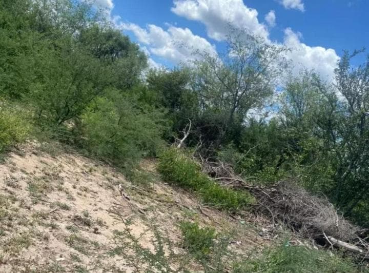 Venta Campo 500 Ha en Lugones, Santiago del Estero - 4