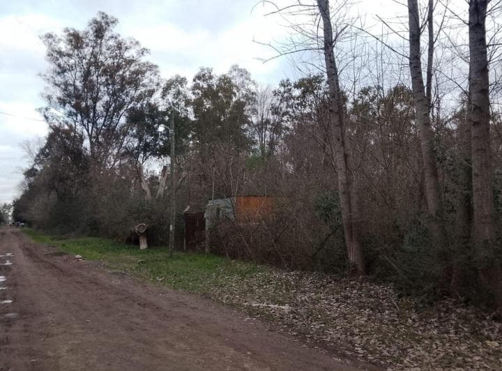 Lote480 m² Esq Arbolado El Casco Gral Rodriguez - 3