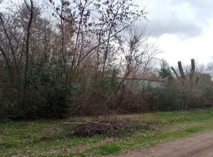 Lote480 m² Esq Arbolado El Casco Gral Rodriguez - 5