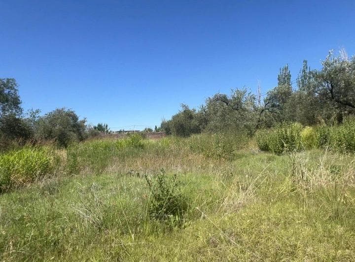 Venta Lote 5.438 M².russell. Maipu - 3