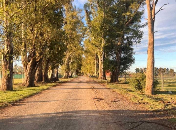 Venta Lote Club de Campo Los Tres Pinos - 3