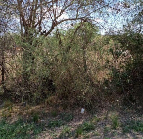Excelente Lote en Esquina de 783 m² (Opcional Lote Contiguo) Cercanía Al Centro y Entorno Natural - 2