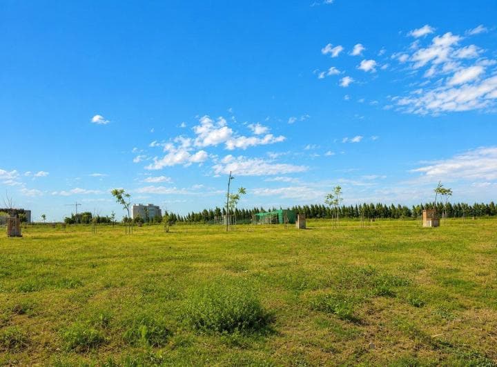 Lote a Laguna en Venta | Barrio Silvestre – Nordelta - 5