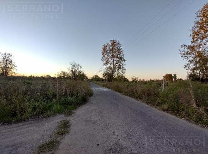 Venta. Lote 800 m². Sobre Asfalto. Molino Blanco. Exaltación de La Cruz - 5