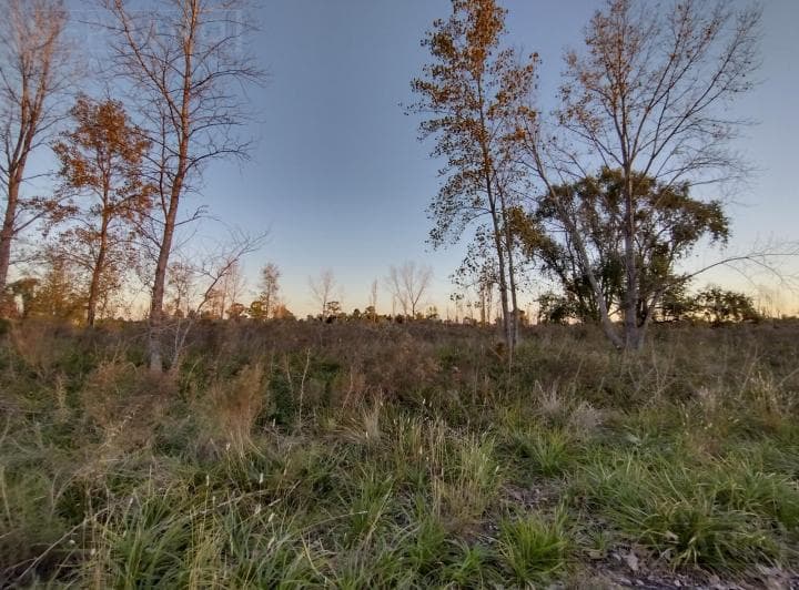 Venta. Lote 800 m². Sobre Asfalto. Molino Blanco. Exaltación de La Cruz - 2