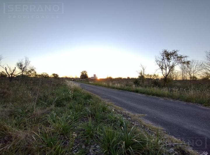 Venta. Lote 800 m². Sobre Asfalto. Molino Blanco. Exaltación de La Cruz - 3