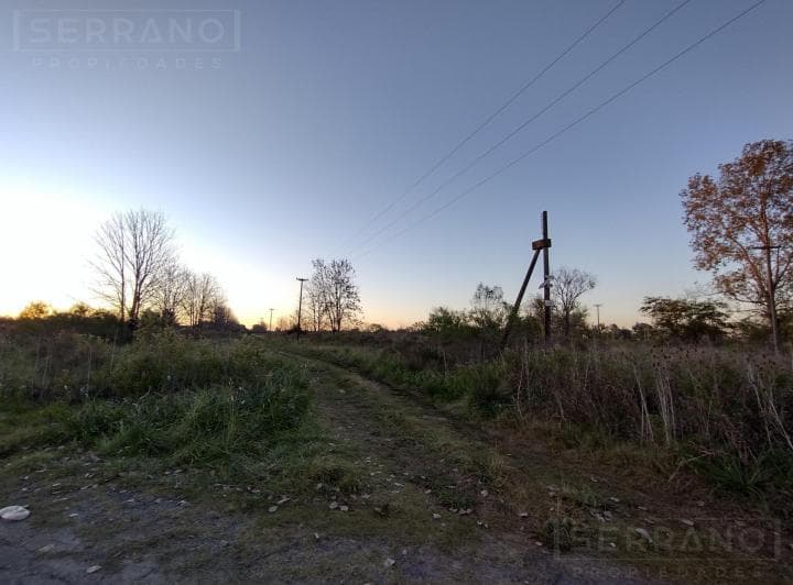 Venta. Lote 800 m². Sobre Asfalto. Molino Blanco. Exaltación de La Cruz - 4