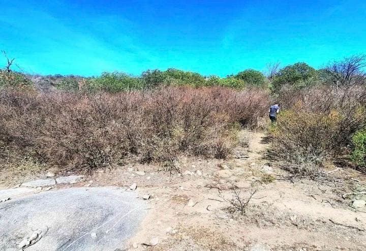 Se Vende Campo en La Cumbre Zon Rio Pinto Escritura - 3