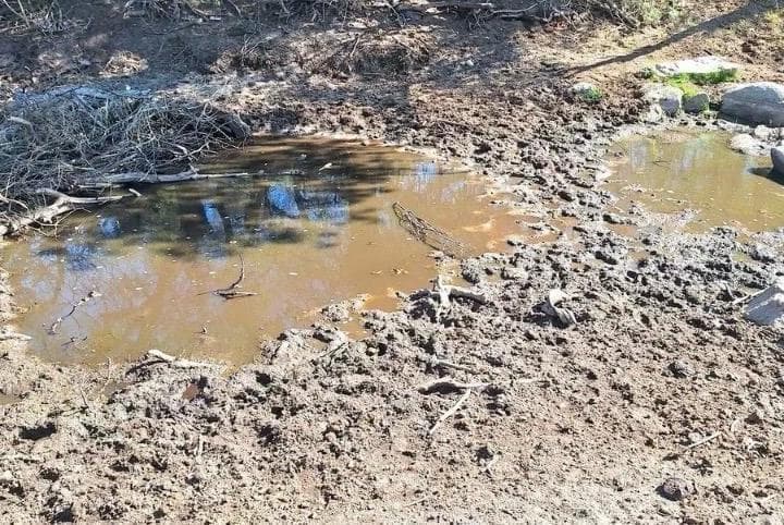 Se Vende Campo en La Cumbre Zon Rio Pinto Escritura - 5