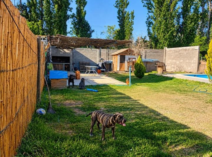 Venta Casa en Russel Maipú - 5