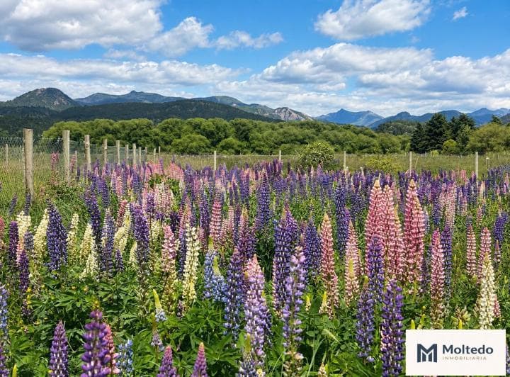 Terreno en Venta en San Martin de Los Andes, en Callejón de Bello - 5