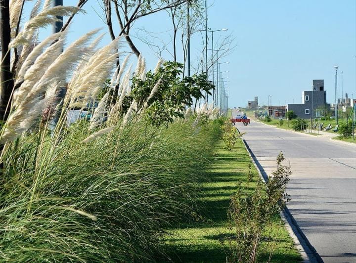 Docta Etapa 5 - Lote de 600 m Apto Hasta 6 Unidades - Posesión Inmediata - 3