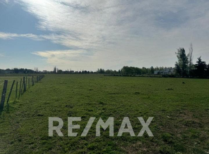 Venta Lote Haras El Malacate Exaltación de La Cruz - 3