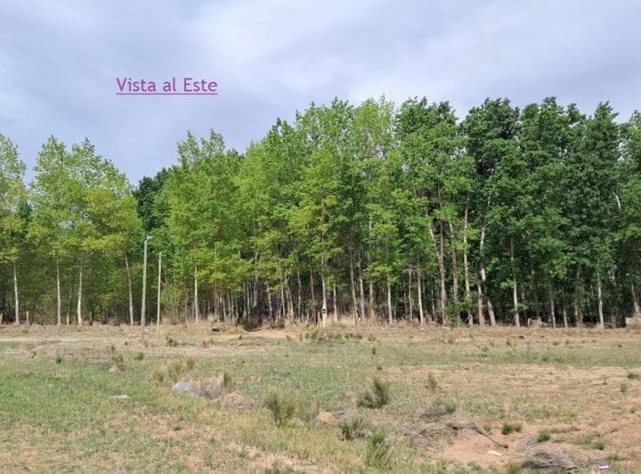 Venta de Terreno en Loteo El Gauchito, Plottier - 5