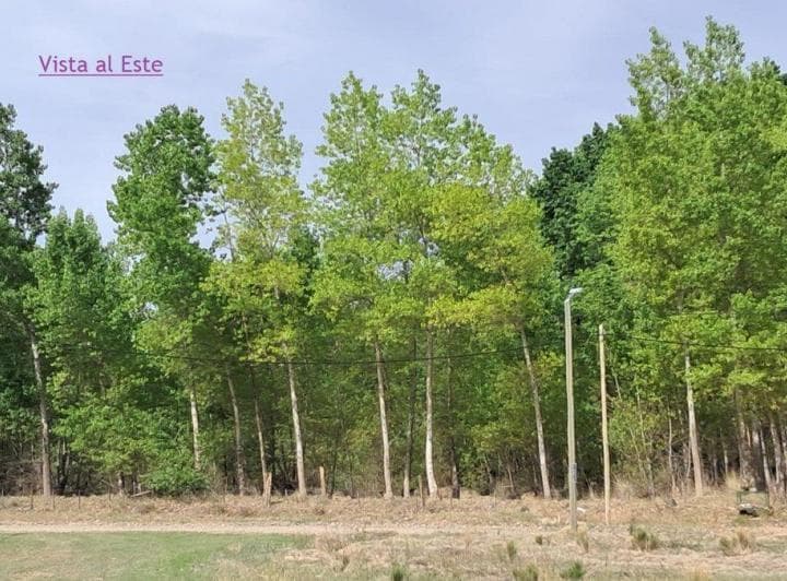 Venta de Terreno en Loteo El Gauchito, Plottier - 4