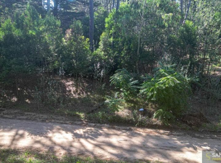 Lote de 1341 m² Dentro del Barrio Zorzal - 5