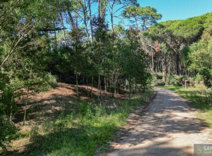Lote de 1341 m² Dentro del Barrio Zorzal - 3