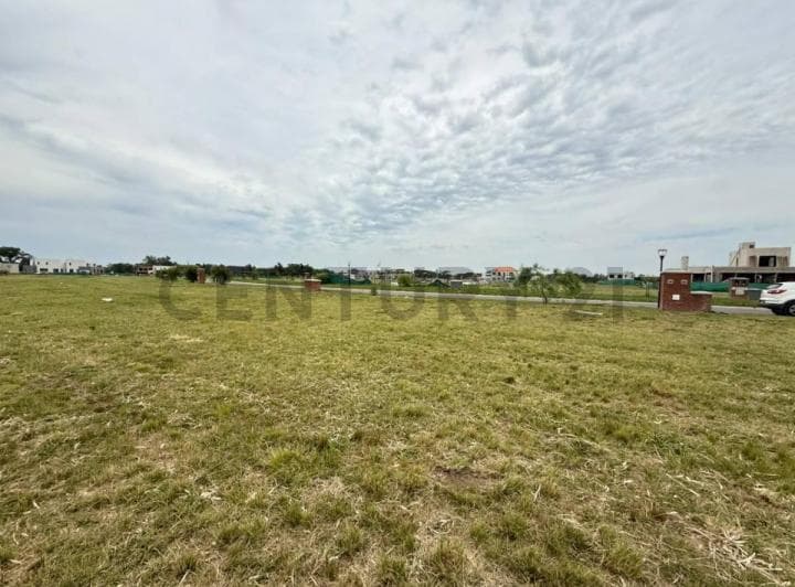 Lote 146 - Villaga Plaza - Interno - 2