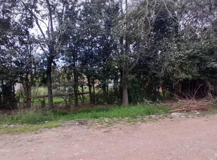 Venta Lote Excelente Ubicacion del Viso - 2