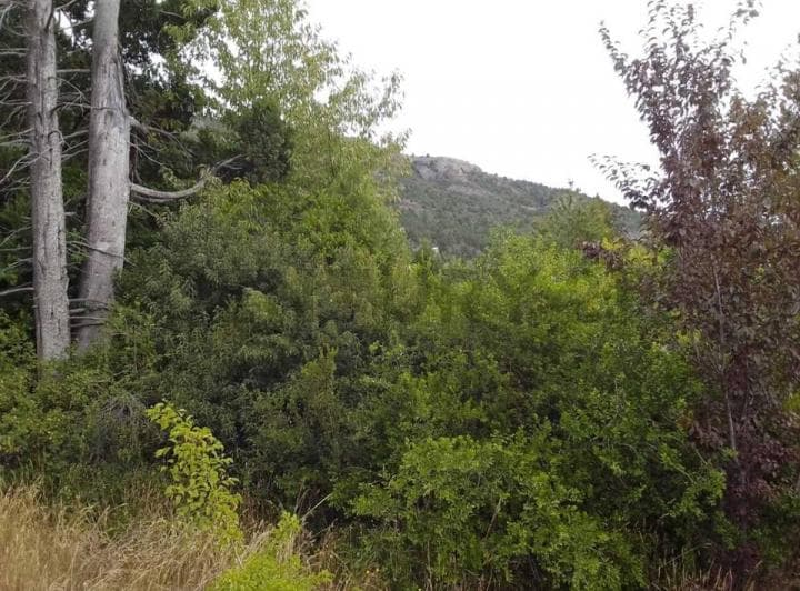 Terreno en Venta en Bariloche - 5