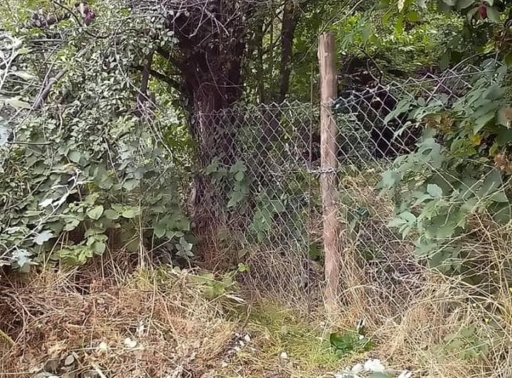 Terreno en Venta en Bariloche - 4