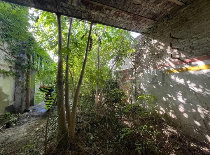 Excelente Lote en Bella Vista | a Media Cuadra del Tren - 3