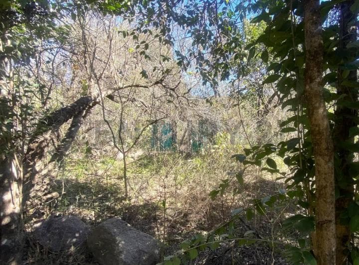 Terreno en Venta en La Granja – 1.485 m² – Escritura - 2
